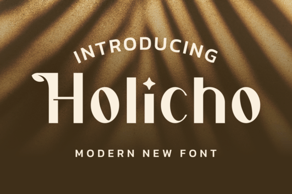 Holicho Font for Web Design and Brand Identity